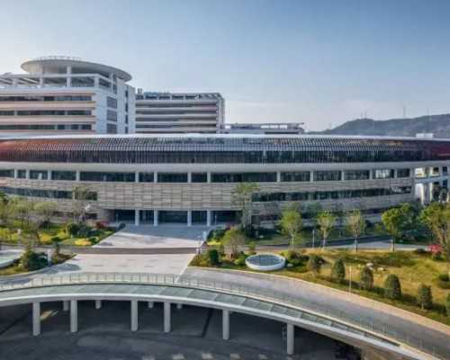 探索第三代试管婴儿的疼痛体验与辅助生殖流程