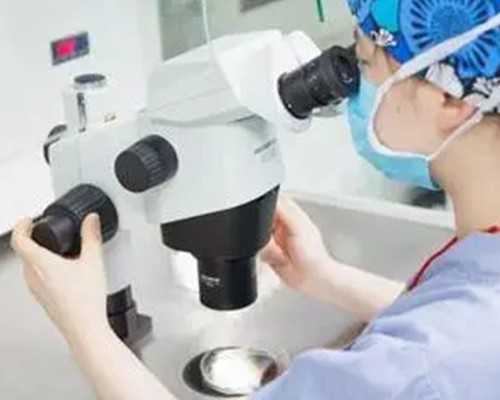 赴日三代试管助孕：上海家庭的费用考量与流程解析