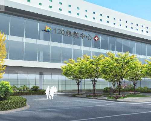 癌症患者福音：上海三代试管婴儿技术助力生育梦想