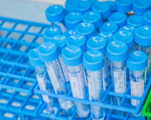 上海三代供卵的成功案例分享与山东临沂试管婴儿医院选择指南