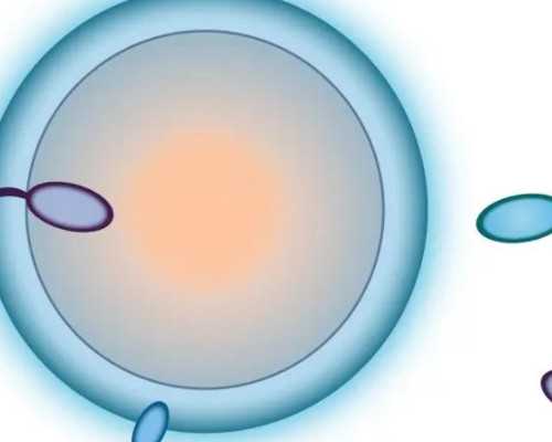 试管助孕：几家上海机构的助孕服务评估