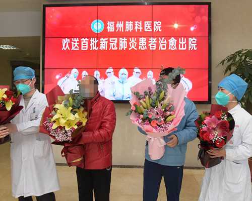 优选上海供卵试管技术：集爱与九院2024年助孕技术深度解析