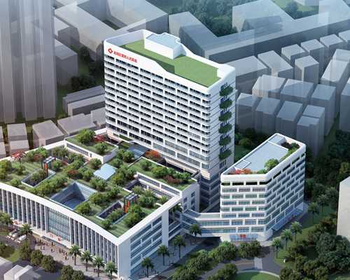 试管婴儿性别比例揭秘：是生男还是生女？