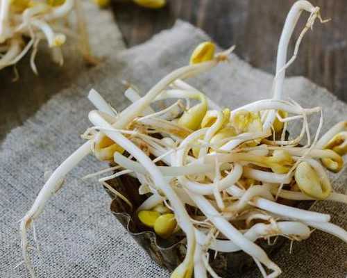 上海两大试管婴儿技术对比：集爱与九院2024年优生优孕指南