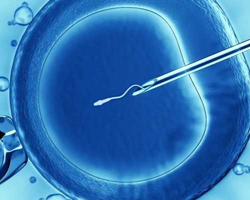 上海试管代怀好处,多囊做试管有影响吗?_上海供卵试管公司有哪些-上海供卵试