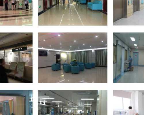 上海最大供卵中心,【中秋节吃什么传统食物】上海中秋节吃什么传统食品