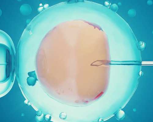 上海代生中心排名,上海第三代试管婴儿可以选性别吗「现在开始要备孕了哦」