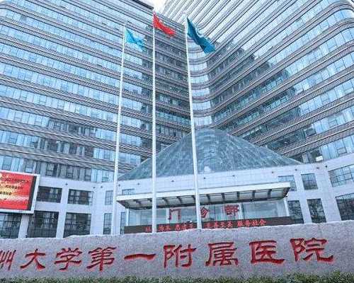 试管婴儿移植后，科学饮食助您好孕