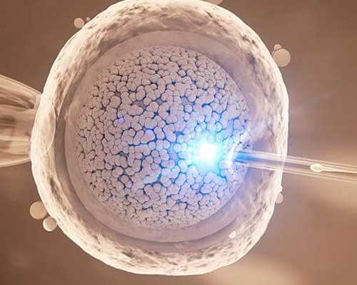 揭秘瑞金医院供卵试管婴儿费用与流程