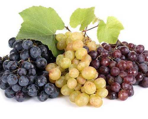 上海找代生的人多吗,上海哪家试管医院成功率高?试管婴儿医院排名